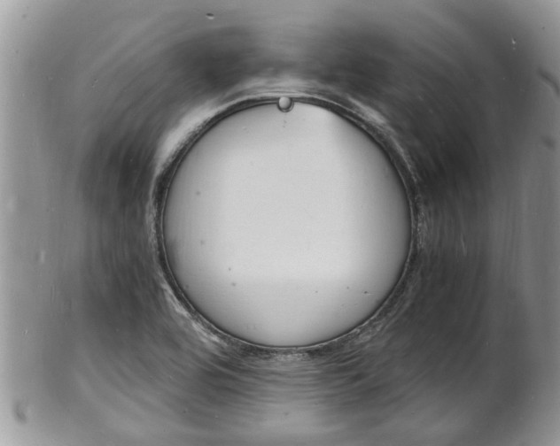 X0000102781464200808180920