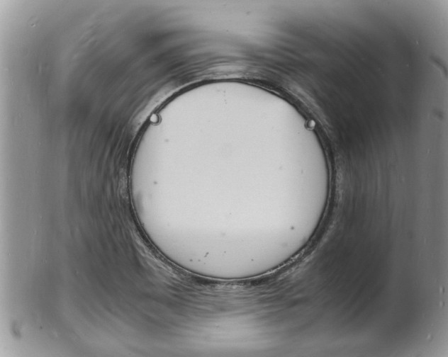 X0000102781465200808180920