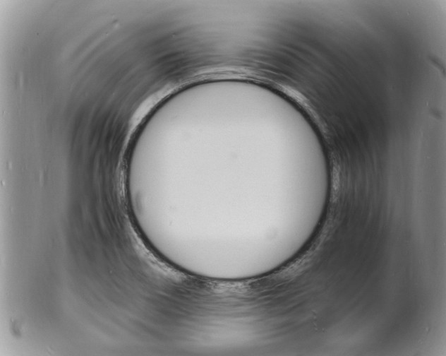 X0000102781466200808180920