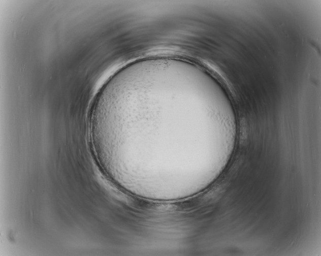 X0000102781467200808180920