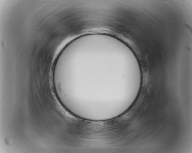 X0000102781470200808180920