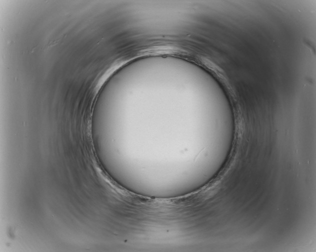 X0000102781473200808180920