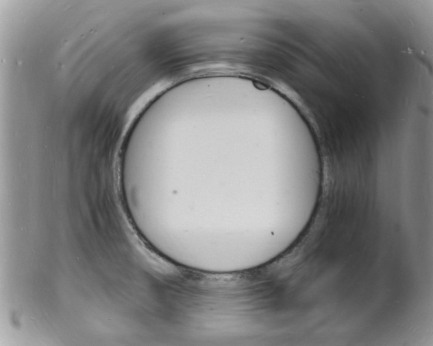 X0000102781474200808180920