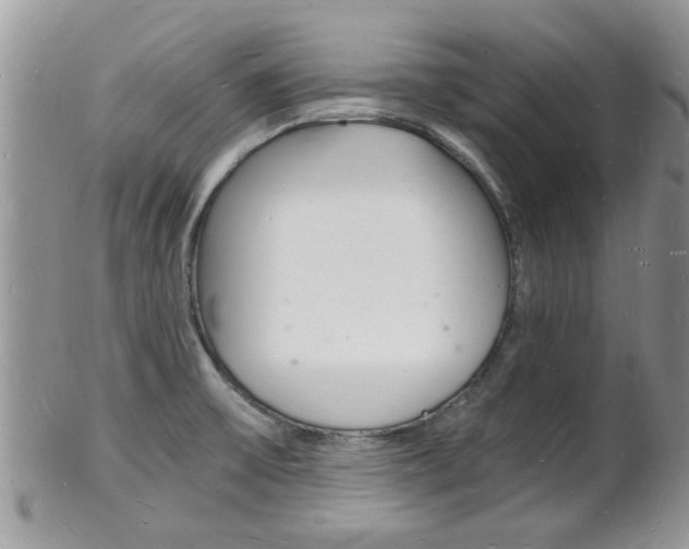 X0000102781475200808180920
