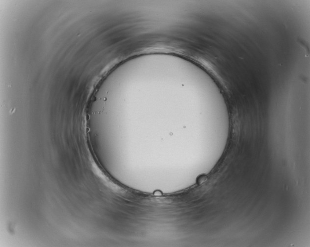 X0000102781476200808180920