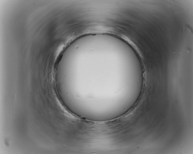 X0000102781477200808180920