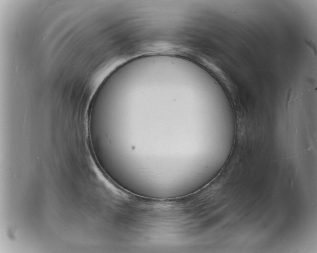 X0000102781479200808180920