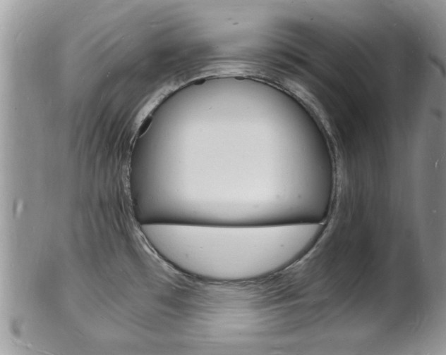 X0000102781481200808180920