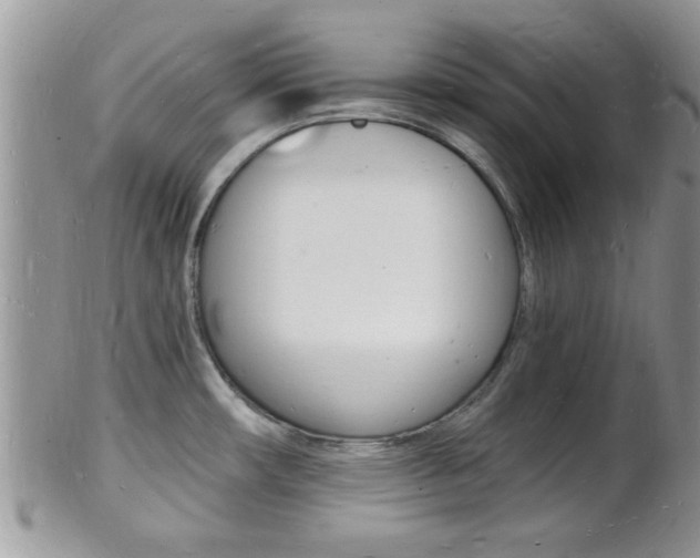 X0000102781482200808180920