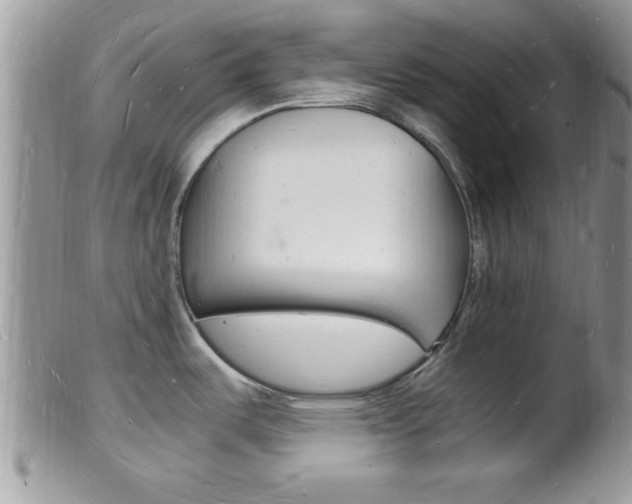 X0000102781487200808180920