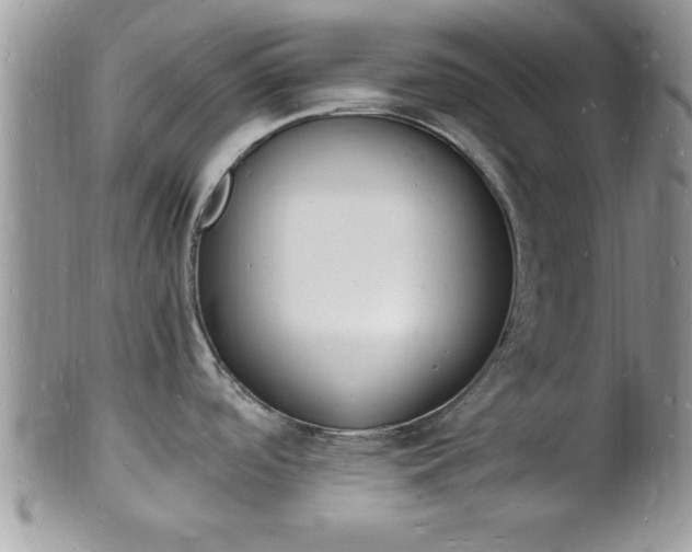 X0000102781488200808180920