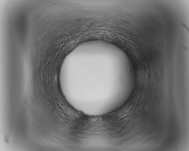 X0000102781489200808180919
