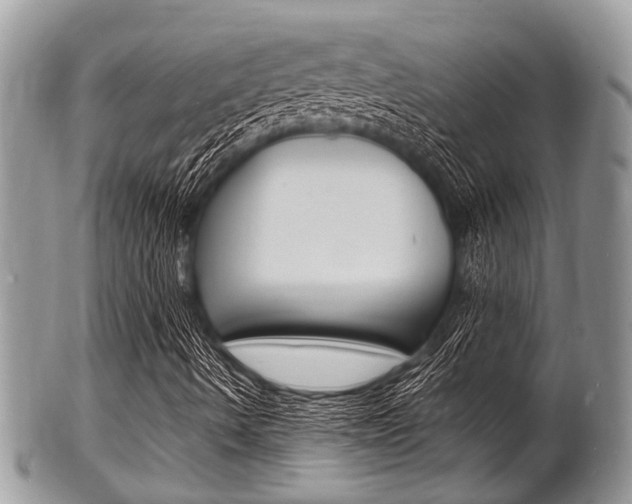 X0000102781490200808180919