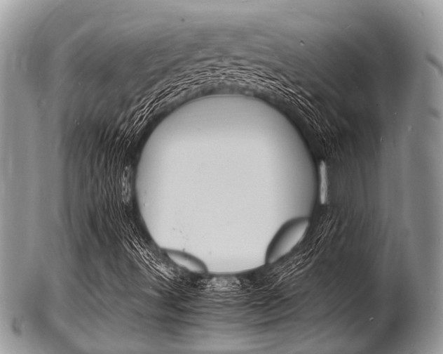X0000102781491200808180919