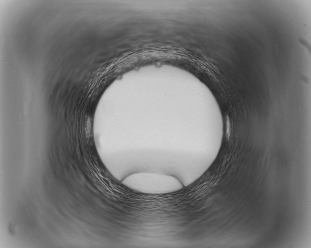 X0000102781492200808180919