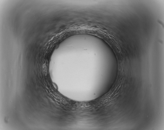 X0000102781493200808180919