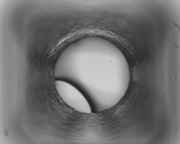 X0000102781494200808180919