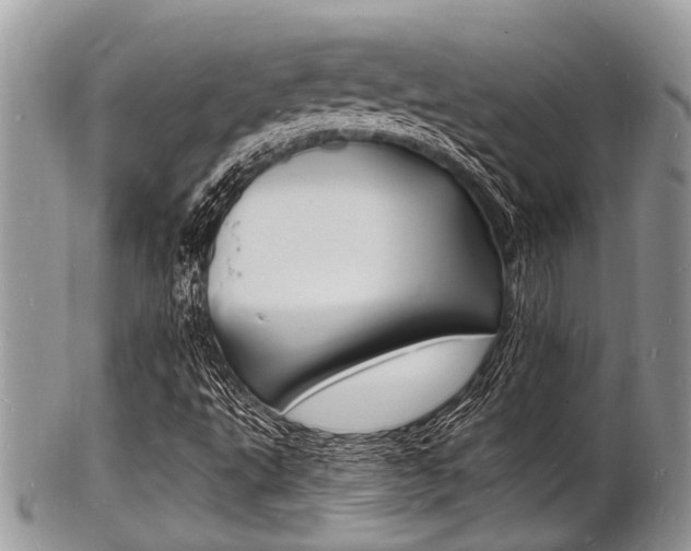 X0000102781495200808180919