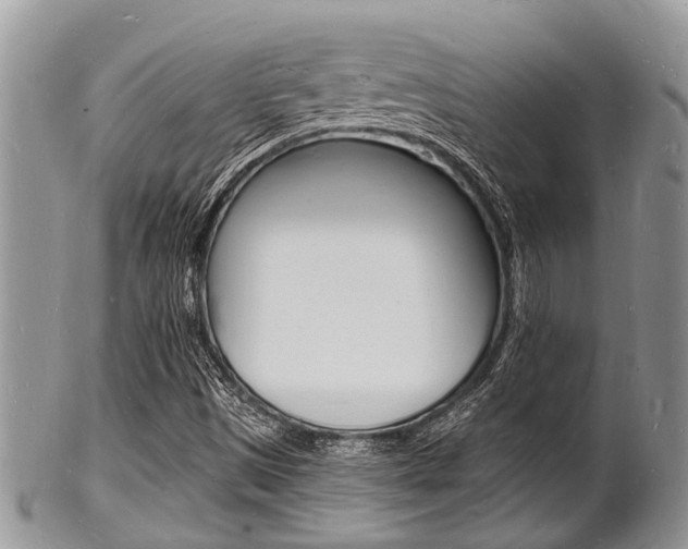 X0000102781497200808180919