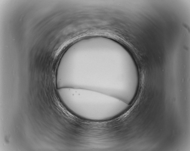 X0000102781498200808180919