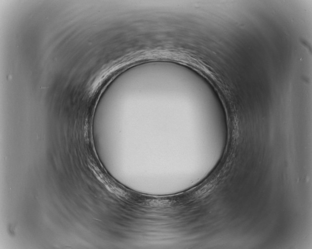 X0000102781499200808180919