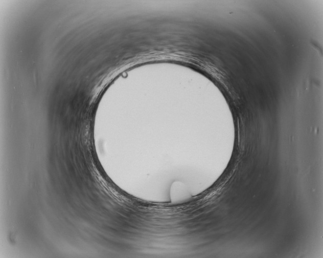 X0000102781500200808180919