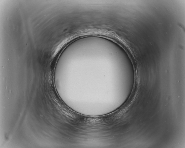 X0000102781501200808180919