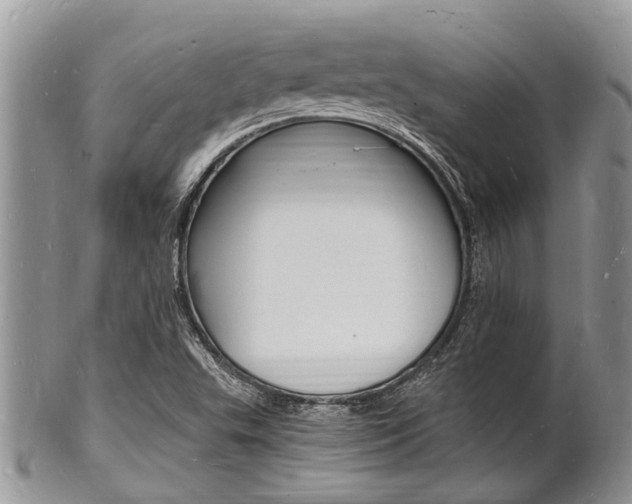 X0000102781503200808180919