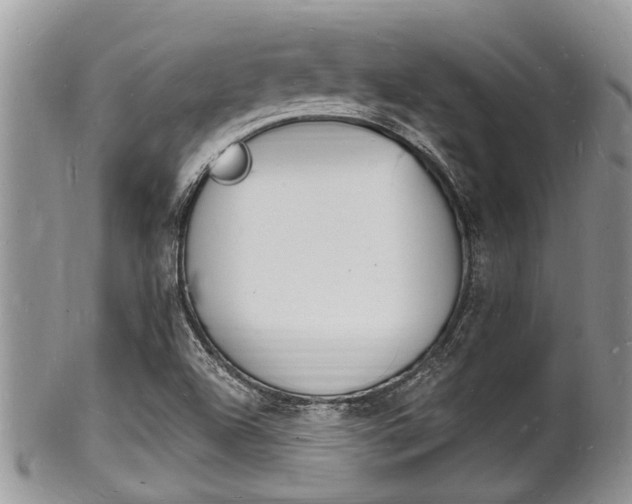 X0000102781504200808180919