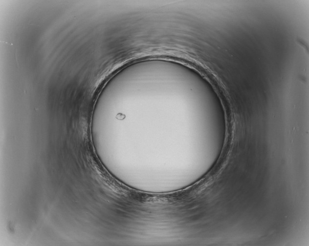 X0000102781505200808180919
