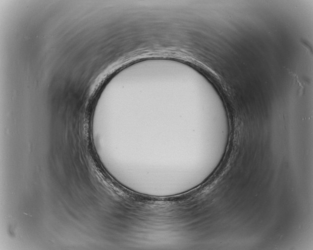 X0000102781506200808180919