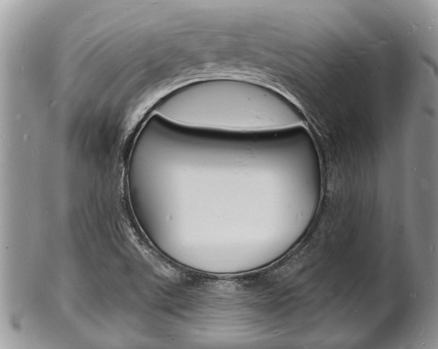 X0000102781507200808180919