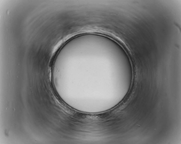 X0000102781509200808180919