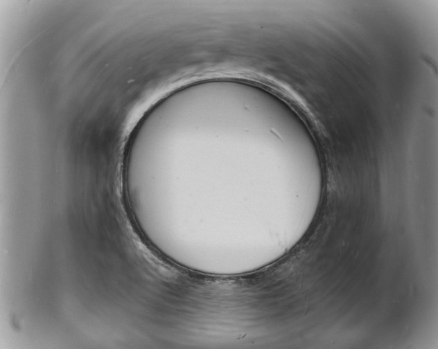 X0000102781512200808180919