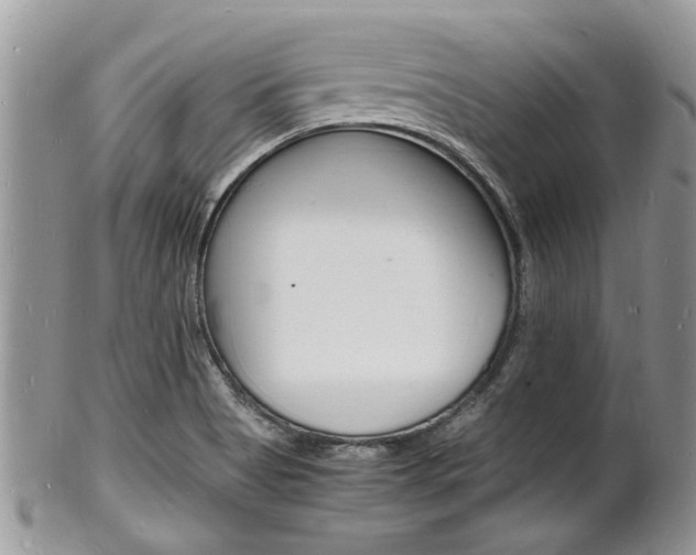 X0000102781513200808180919