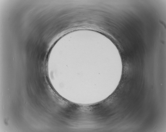 X0000102781514200808180919