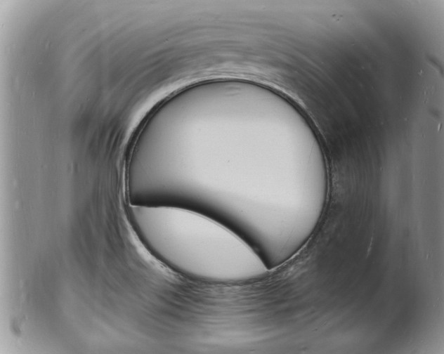 X0000102781515200808180919