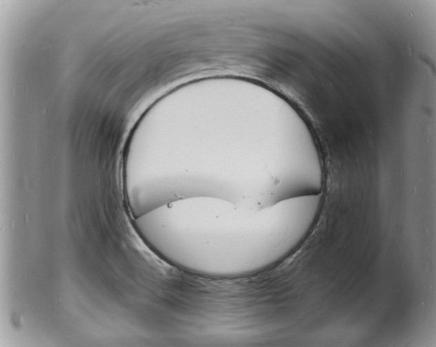 X0000102781516200808180919