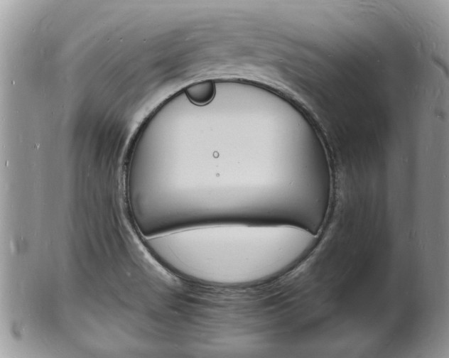 X0000102781517200808180919