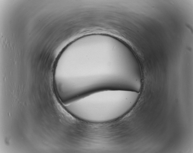 X0000102781518200808180919