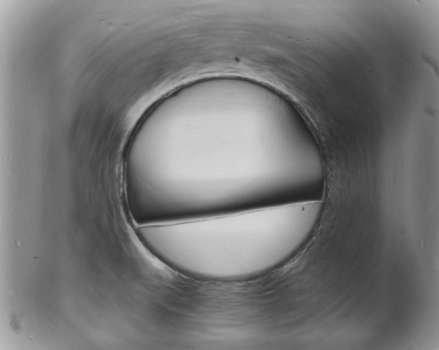X0000102781519200808180919