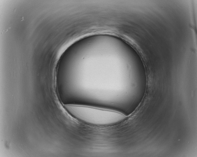 X0000102781520200808180919