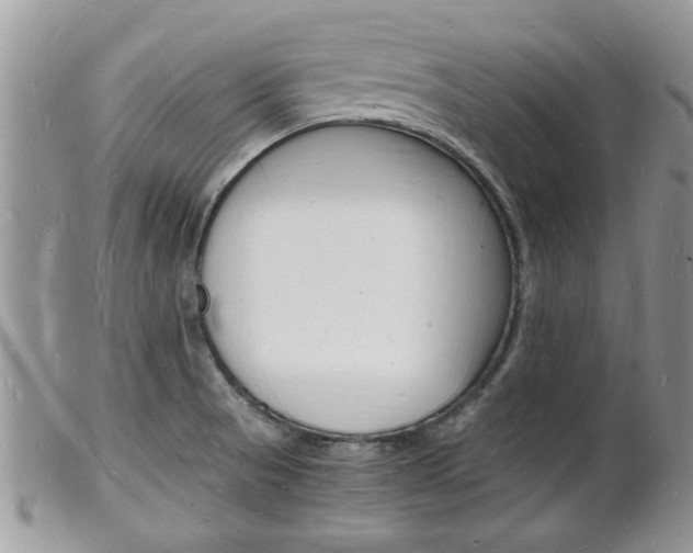 X0000102781521200808180919