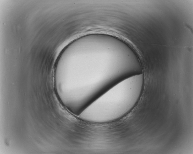 X0000102781522200808180919