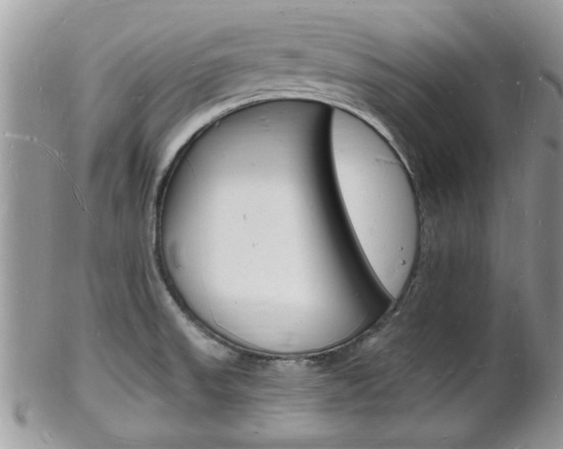 X0000102781523200808180919