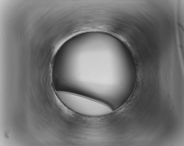 X0000102781524200808180919