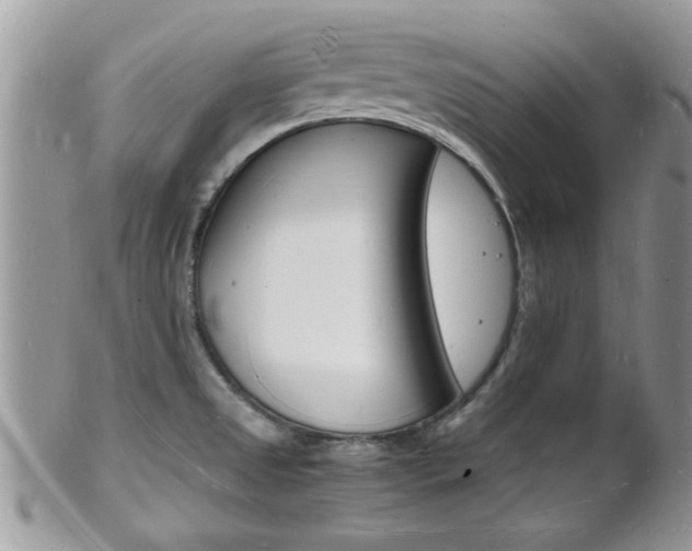 X0000102781525200808180919