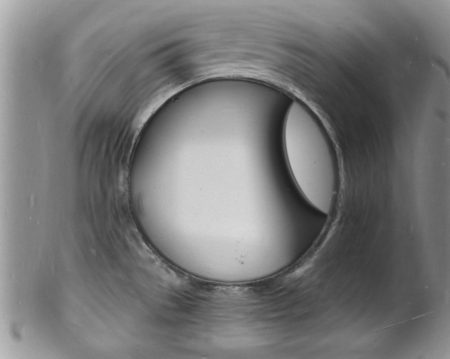 X0000102781529200808180920