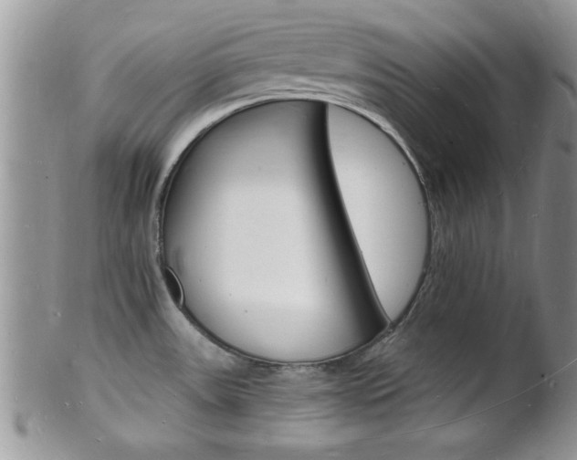 X0000102781531200808180920