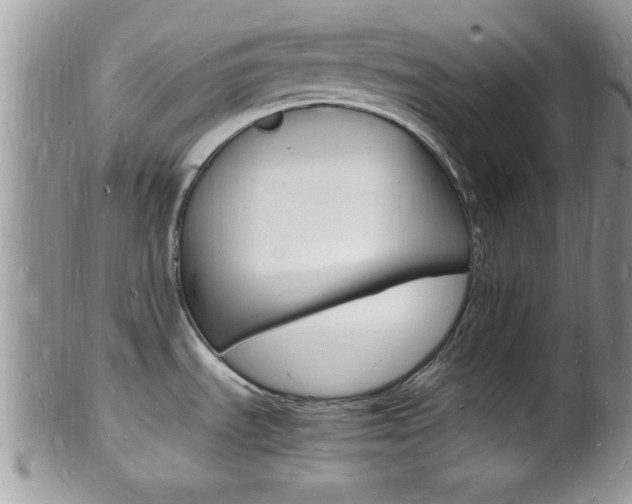 X0000102781535200808180920